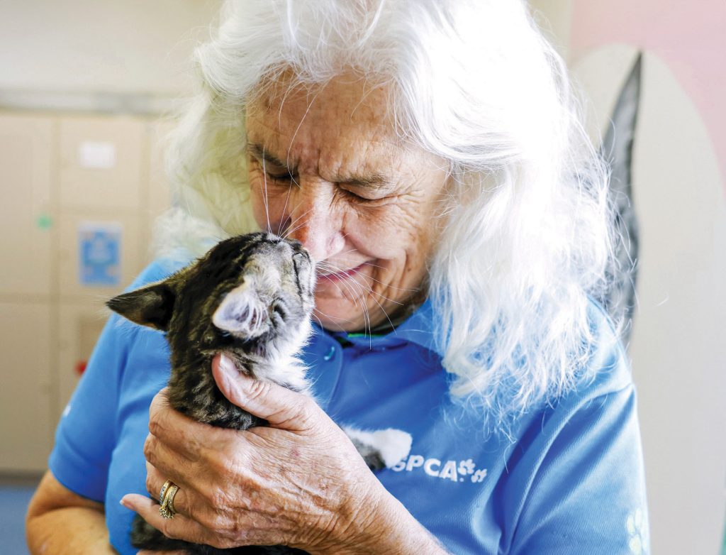 Volunteer Carol holding a young cat