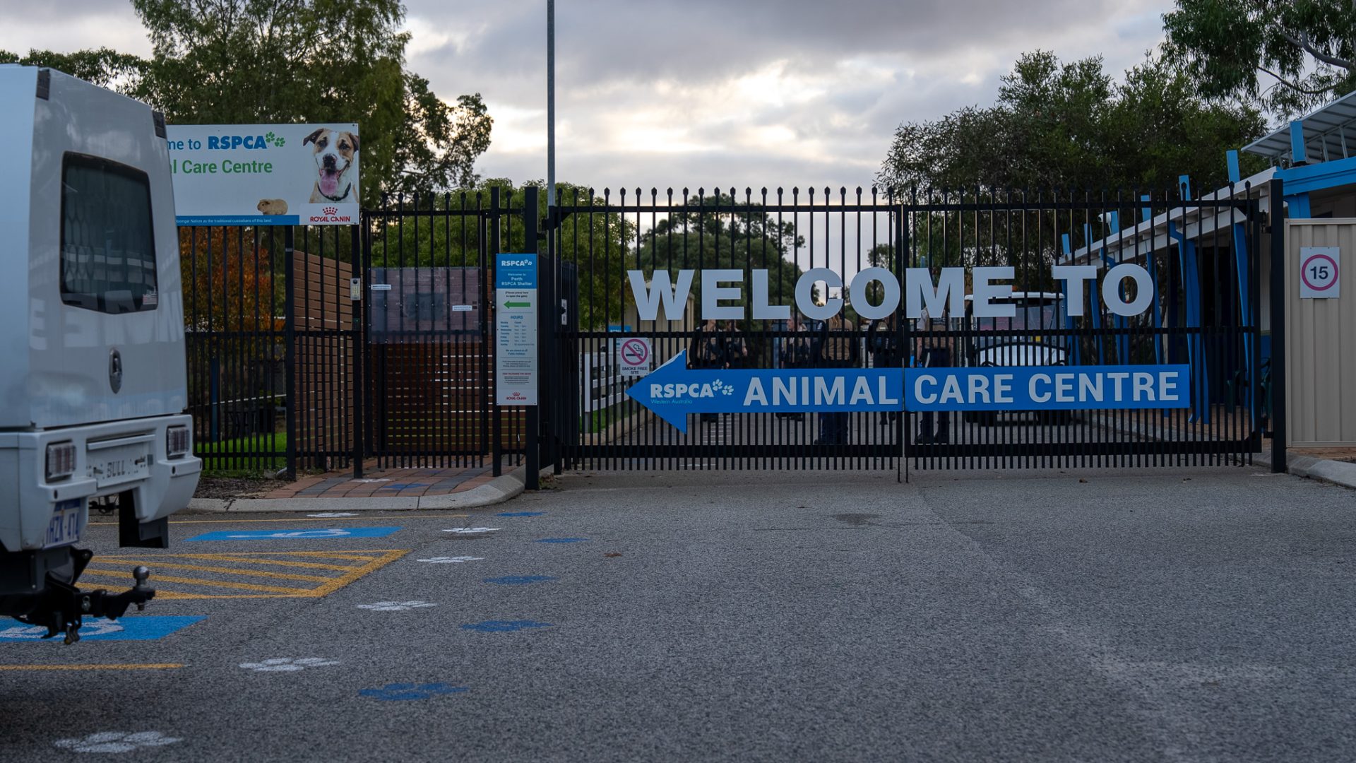 Rspca wa shelter