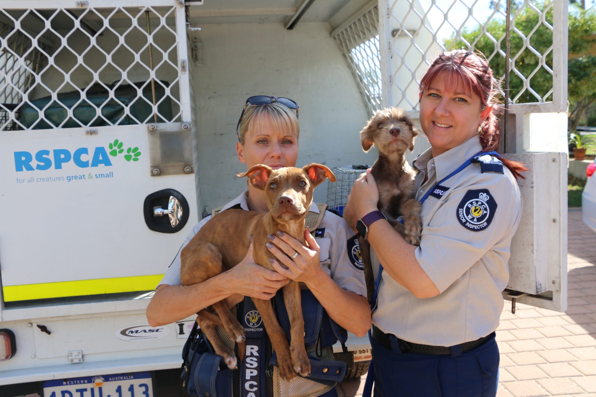 Inspectors holding puppies